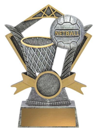 Netball Valour