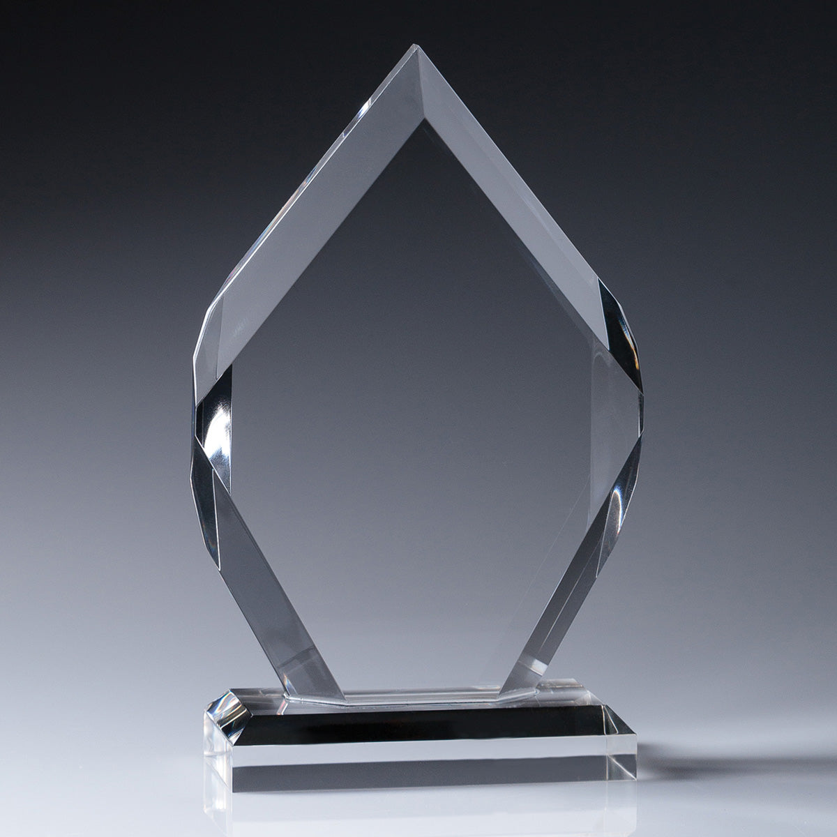 Acrylic Achievement Award