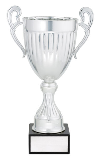 Endeavour Cup Silver