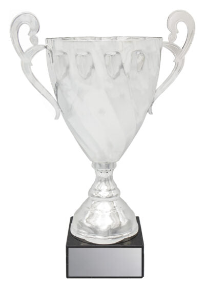 Fidelity Cup Silver