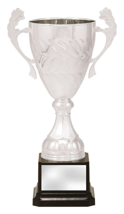 Eternal Cup Silver