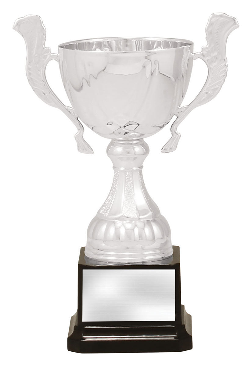 Cup Silver Turin