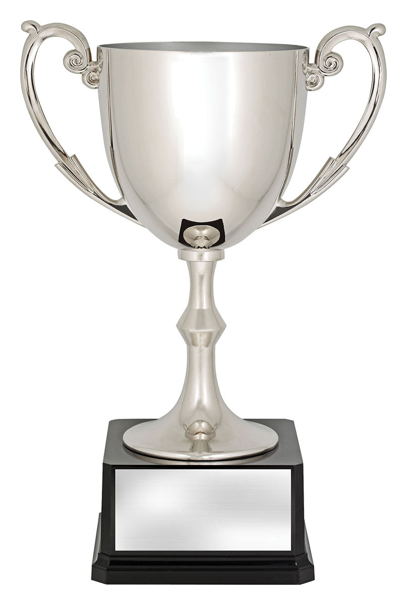 Recognition Cup