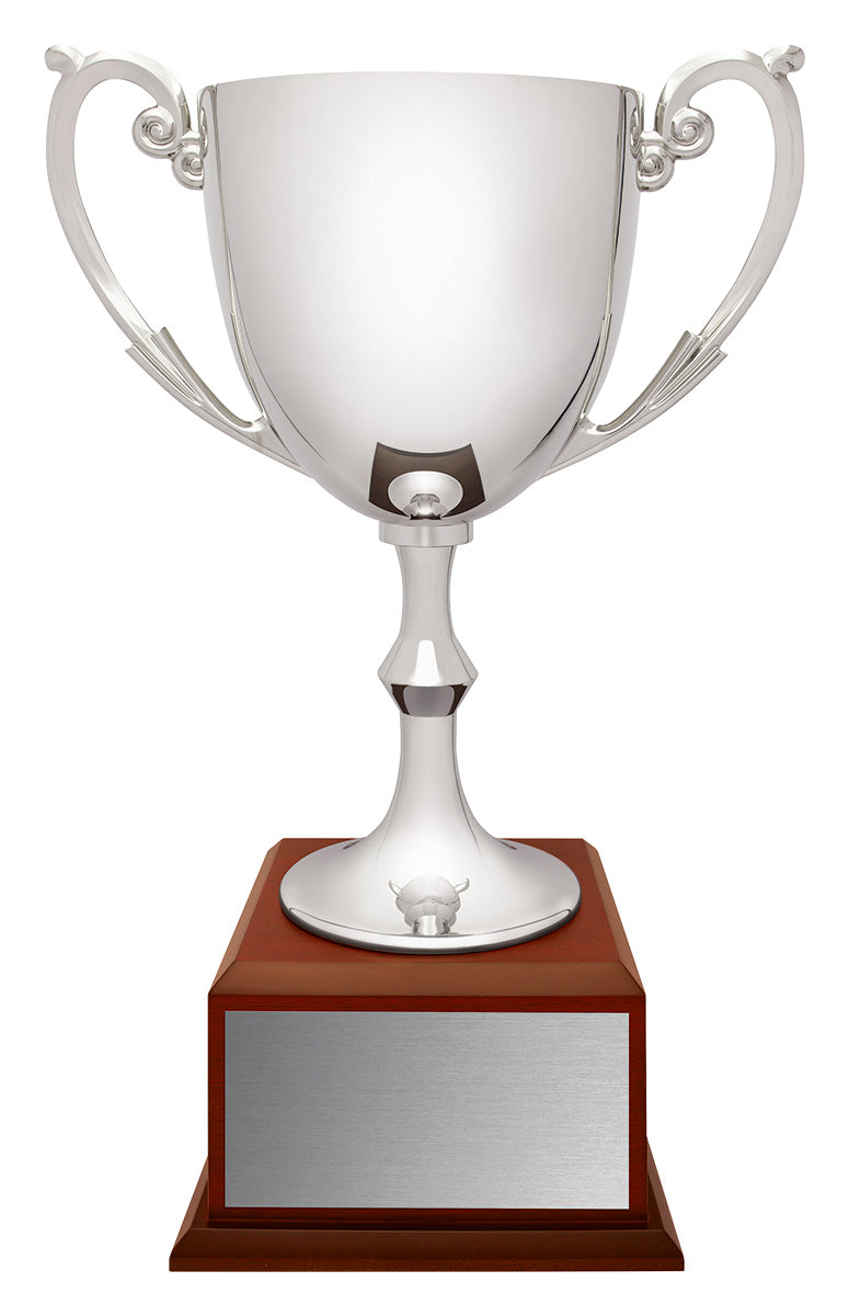 Recognition Cup On Timber