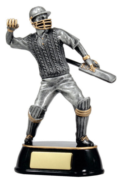 cricket-winner-moment-trophy