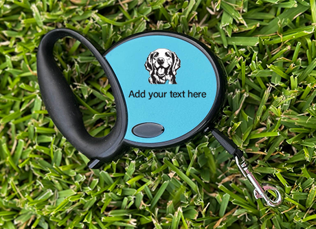 Dog/ Cat Leash