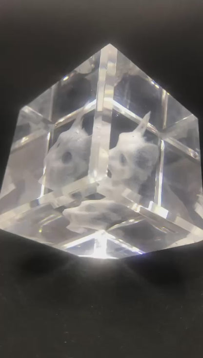 Crystal Cube-Paper Weight